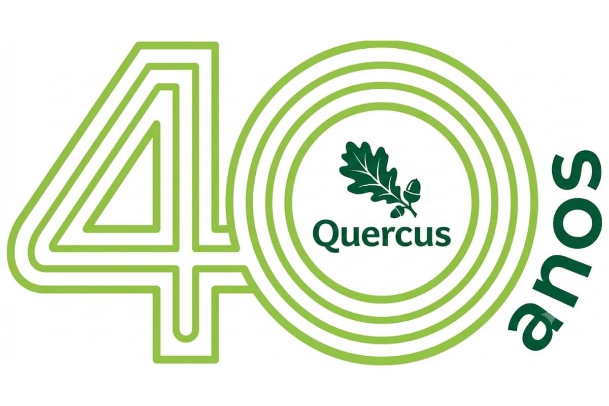 Quercus apresenta 10 medidas para reduzir as perdas de água na rede e promover uma gestão mais eficiente