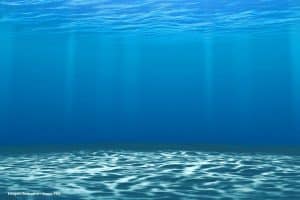 Oceanos batem novo recorde de temperatura ao atingir média de 21,1ºC