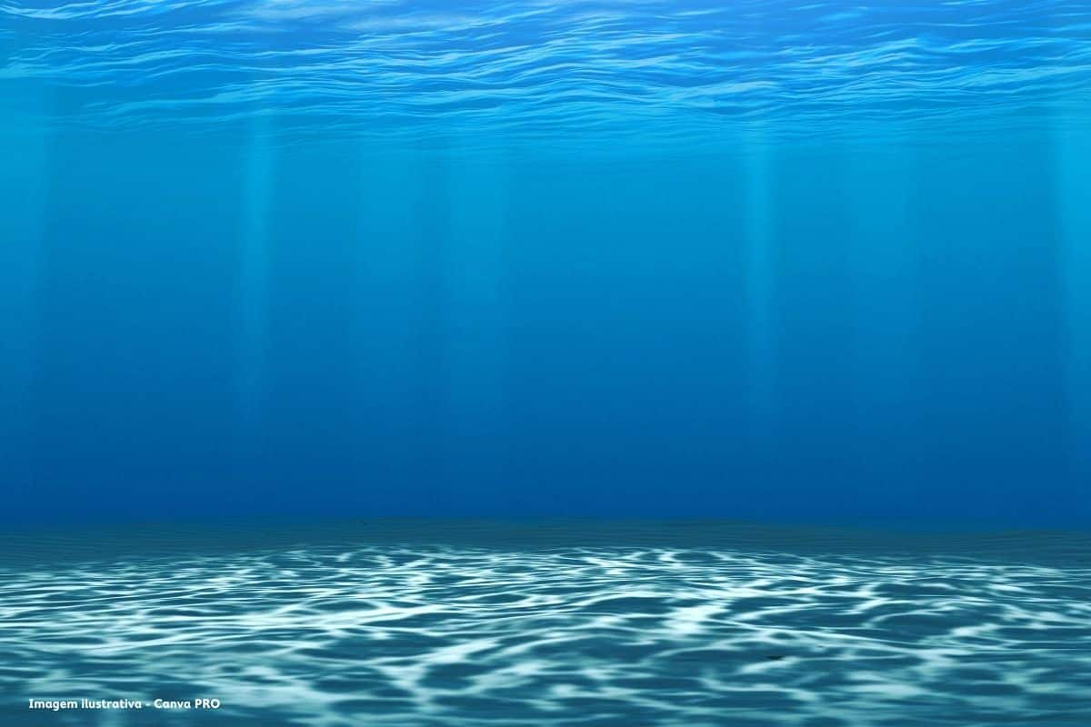 Oceanos batem novo recorde de temperatura ao atingir média de 21,1ºC