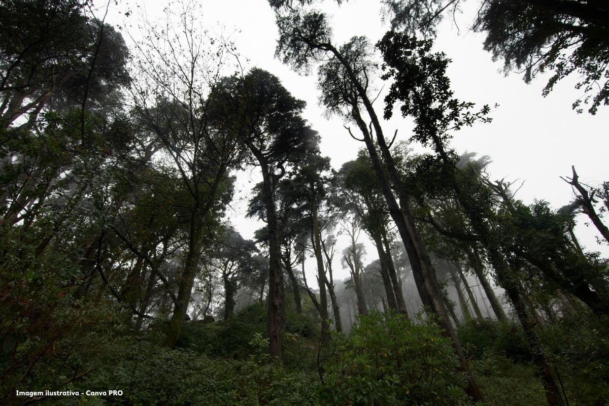 Portugal continua a pagar multas por zonas protegidas não regularizadas — até quando