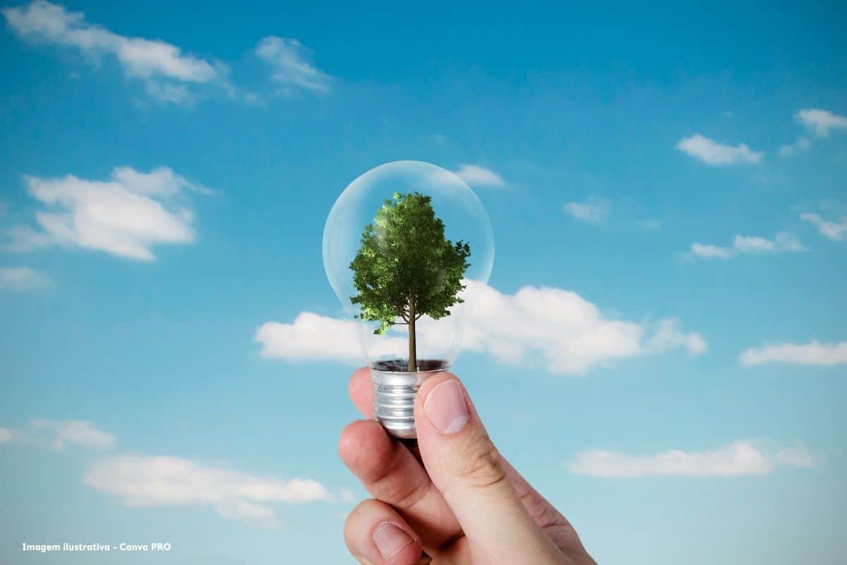 Portugal recebe 81,4 milhões de euros para investimentos em sistemas energéticos