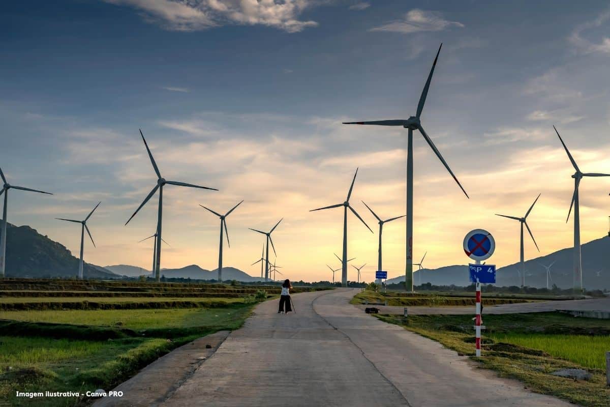 Renováveis sim, mas não assim o slogan que ameaça a instalação de parques eólicos e solares em algumas províncias espanholas