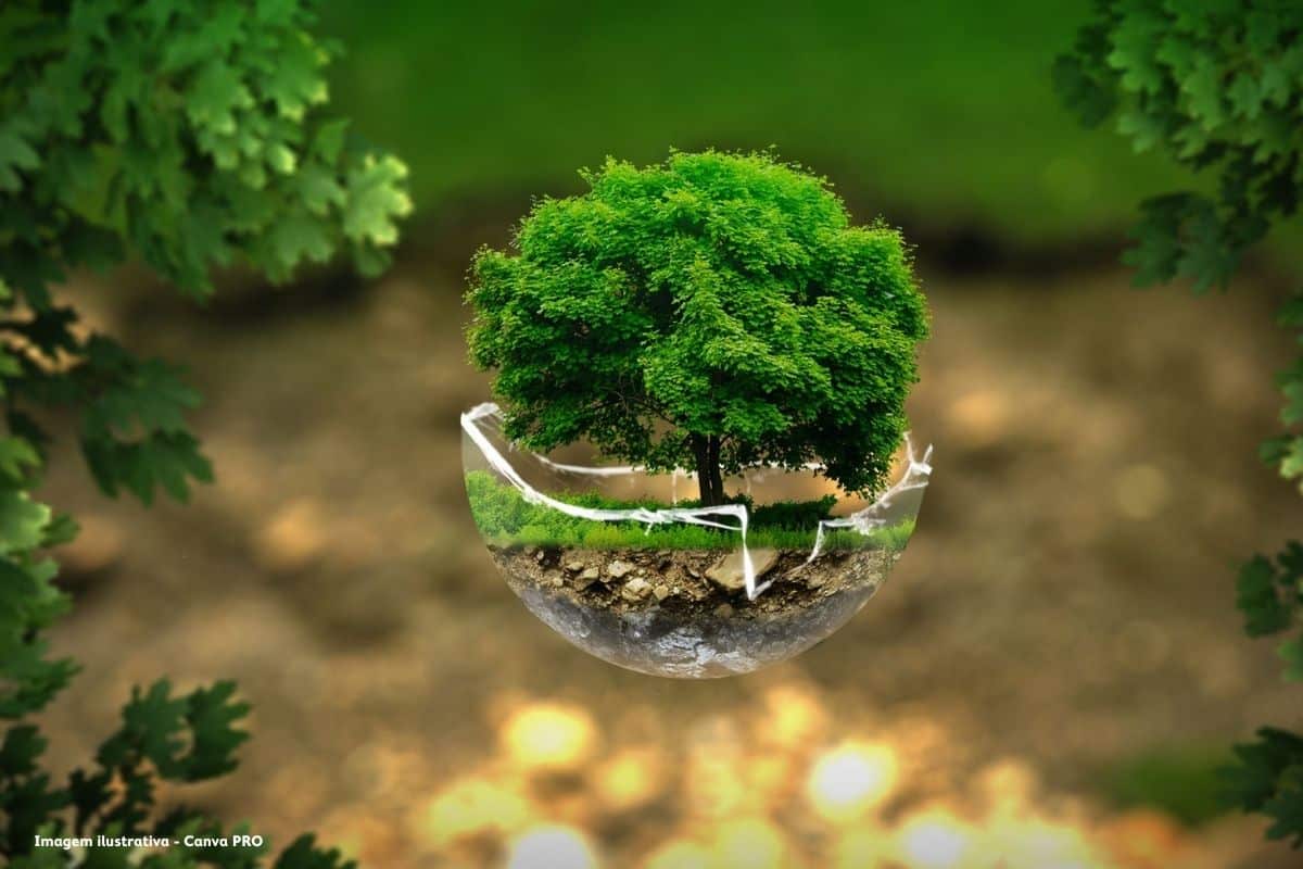 Bruxelas abre dois processos a Portugal na área do ambiente