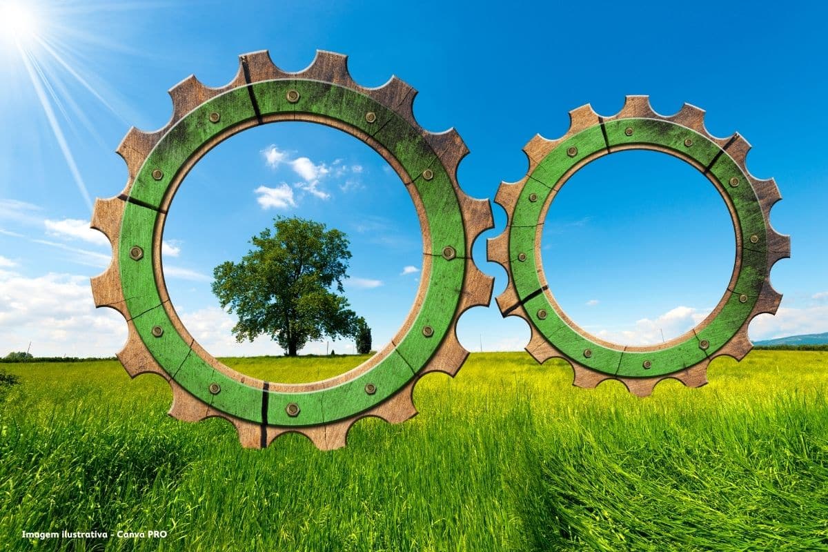 Nove em cada dez líderes de empresas acreditam que uma economia verde fortalece competitividade da UE