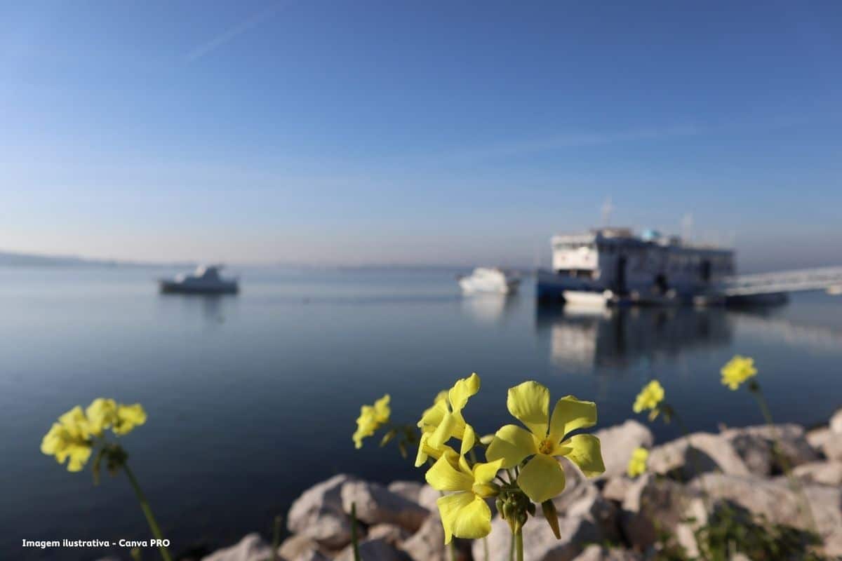 Seixal reforça abastecimento de água em 40% com novo furo de captação