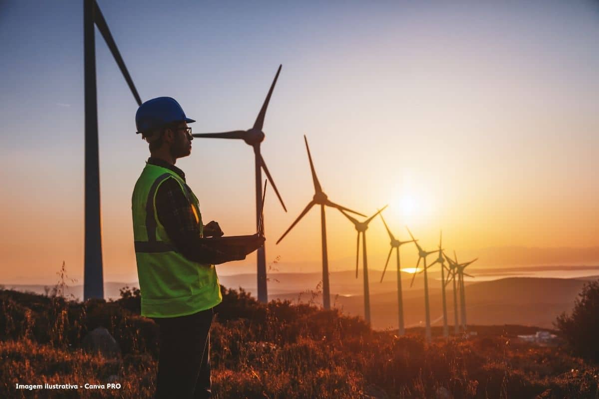 Chamusca alerta para benefícios reduzidos das energias renováveis face à ocupação do território