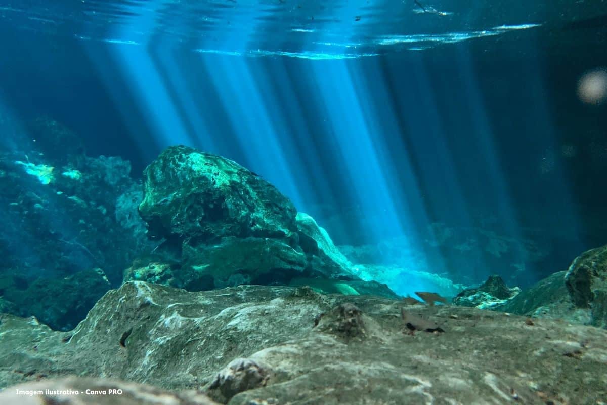 Mineração em mar profundo pode gerar mais prejuízos que ganhos, alerta análise