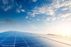 Projeto da central solar Sophia foi reformulado, mas ambientalistas continuam a temer impactos graves